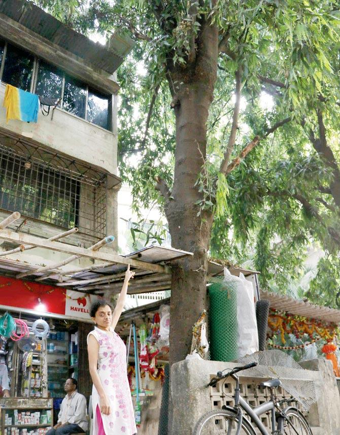 Satish’s daughter Sanketa waited at home till the fire brigade rescued the cat from the tree. Pics/Rajesh Gupta
