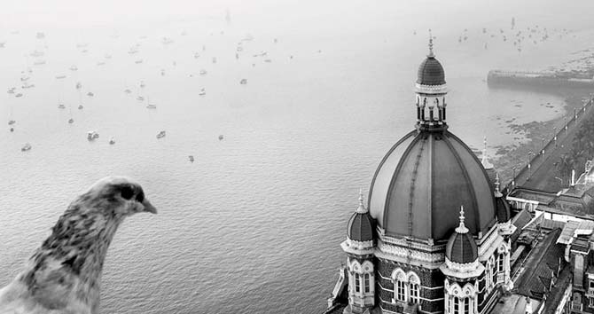 A frame by Prashant Godbole that focuses on the iconic dome of the Taj Mahal Palace Hotel, will be a part of the exhibition