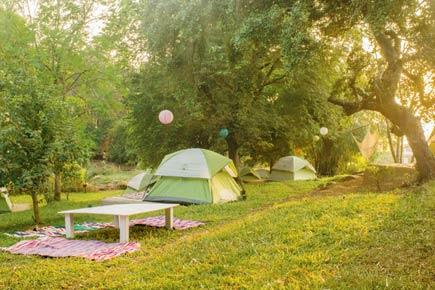 Travel: Go camping to tranquil Uttan in Bhayander