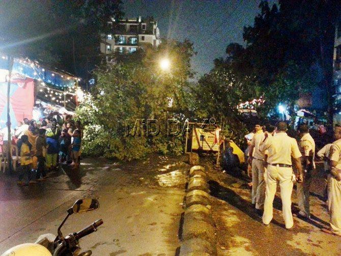 Tree fall at Vile Parle misses dandiya event by metres