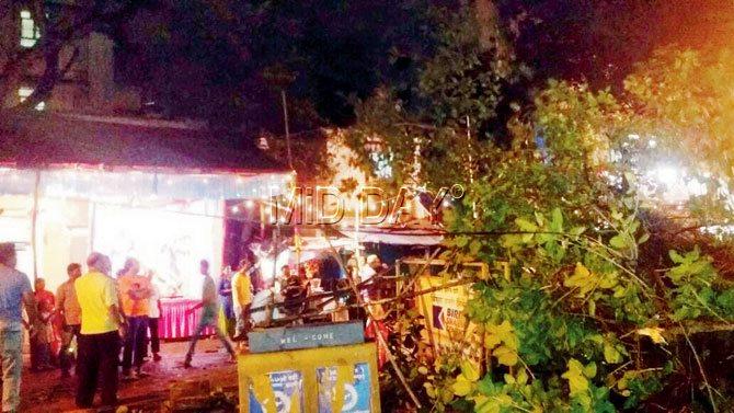 Mumbai: Tree fall at Vile Parle misses dandiya event by metres