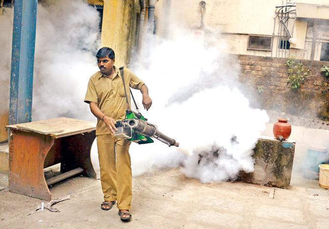 Apart from fumigating public spaces, the BMC also inspects residential and commercial areas for potential breeding spots for the dengue mosquito. File pic