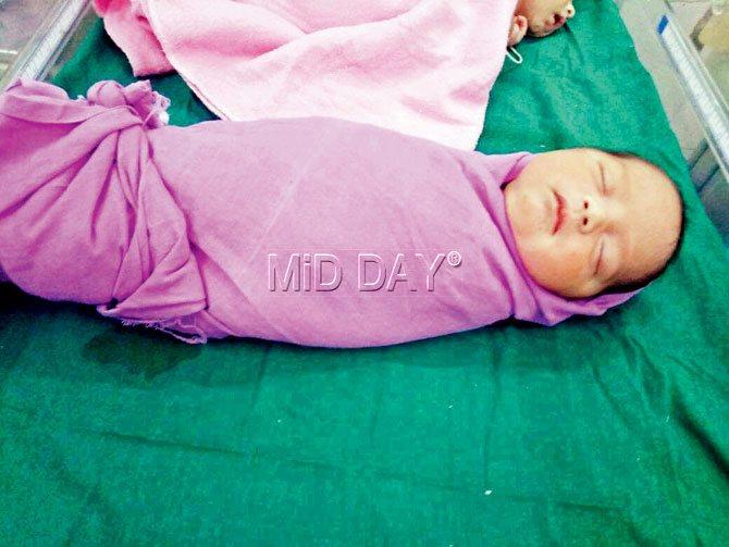 Infant found abandoned near mangroves in Vasai