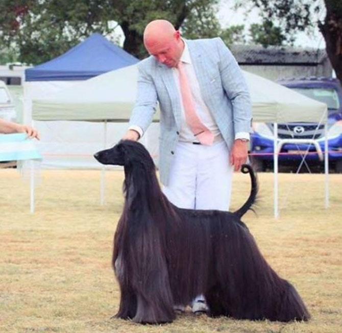 Stylish dog with long locks becomes Internet sensation