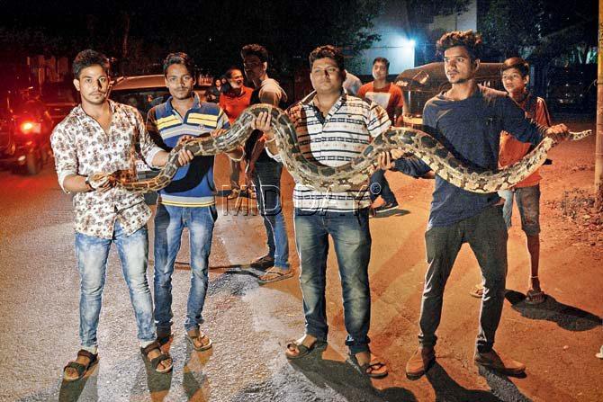 Residents of Ishwar Nagar, Borivli, with the python
