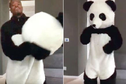 Patrice Evra dresses up like a panda to fight racism