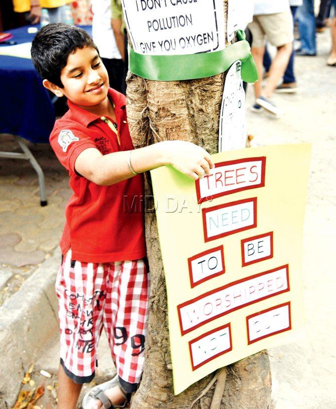 A young boy and resident of Khar shows his support to saving the environment by hugging a tree. Pic/Pradeep Dhivar