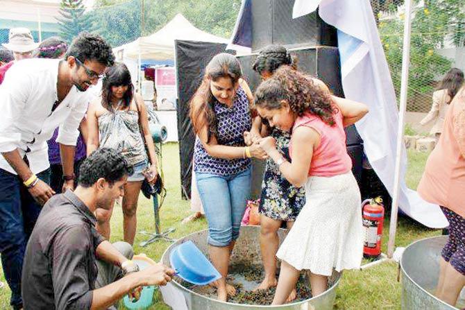 The wine festival last year