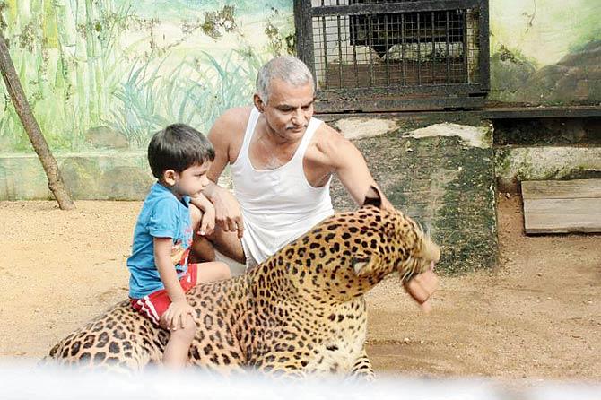 Dr Prakash Amte and his grandson playing with a leopard at his animal rescue centre