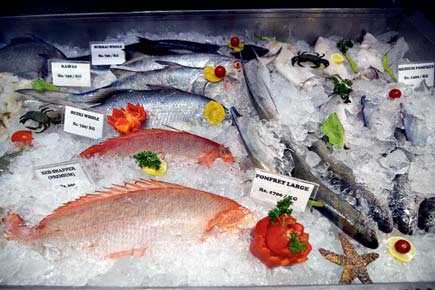 Mumbai Food: mid-day reviews the new seafood store in Bandra
