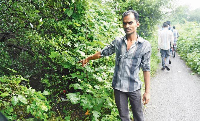 Khalique Siddiqui (30) points to the bushes where the teen drug addict had dragged the 23-year-old housewife and tried to rape her. Pic/Nimesh Dave
