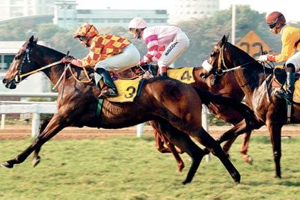 Mumbai Metro eats into Mahalaxmi racetrack, fewer horses will run