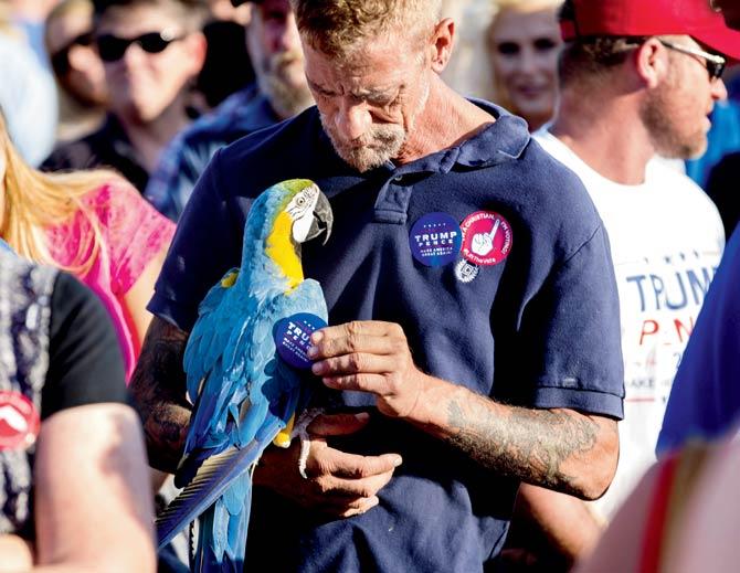 A Trump supporter applies a Trump sticker to his blue and gold macaw as they wait in line for his Florida rally. Pic/AFP