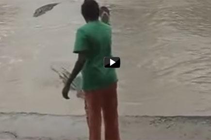 Viral Video: Woman shoos away crocodile with her 'chappal'