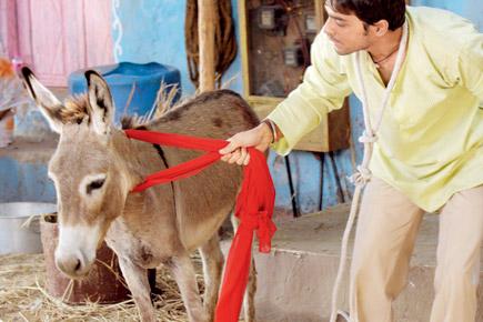 A new film shot in Navi Mumbai will change the way you look at donkeys