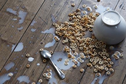 Health: Eating food off the floor is not safe at all