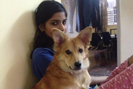 Asked to give up pet dog, girl dumps her would-be groom