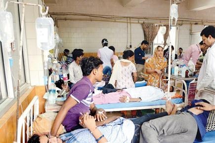 Chikungunya kills 10, infects over a 1,000 in Delhi