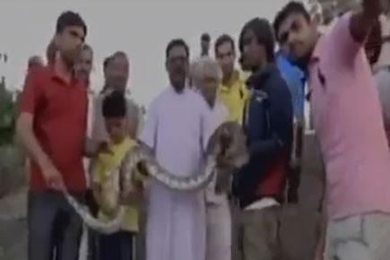 Want a selfie with a python? This video will make you think again