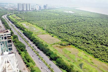 Navi Mumbai: Palm Beach Road plot sold for record Rs 247 crore!