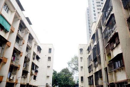 This Borivli complex is Mumbai's number one dengue death trap
