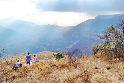 Travel: Here's why you should head to the 3-day Karvi Festival in Panchgani
