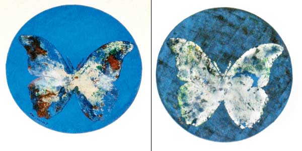 Monoprints of a fish, leaf and butterflies