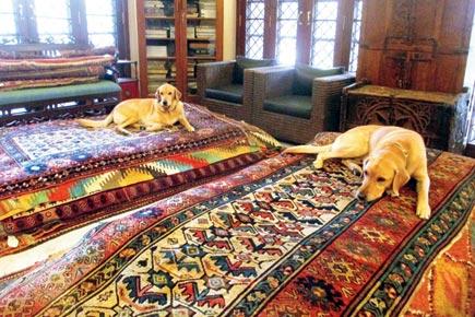 100 carpet pieces to be displayed during 10-day exhibition in Mumbai