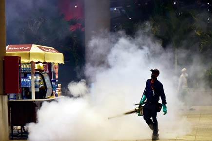 Mumbai: Worried sick about dengue? 90% cases are just viral fever