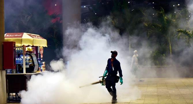 The BMC is on a war footing to try and curb the number of dengue cases with regular checks and fumigation across the city