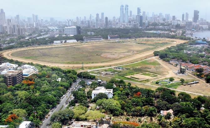 Aerial view of the racecourse