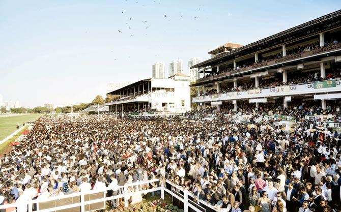 The crowds at the Derby, the racecourse needs crowds like this on every racing day in the city, not just one day