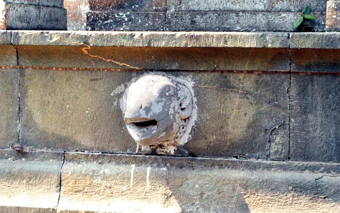 One of the damaged animal head water spouts on the fountain