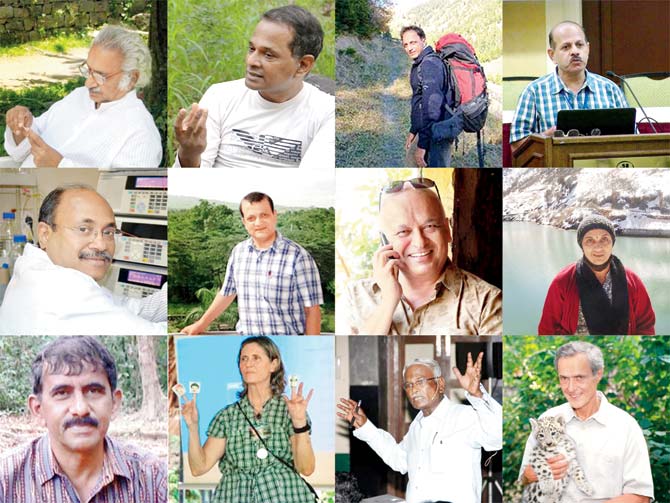 Some of the world’s topmost green warriors