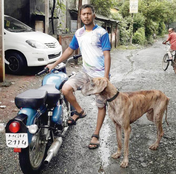The rescued dog with animal welfare activist Prashant Mankar
