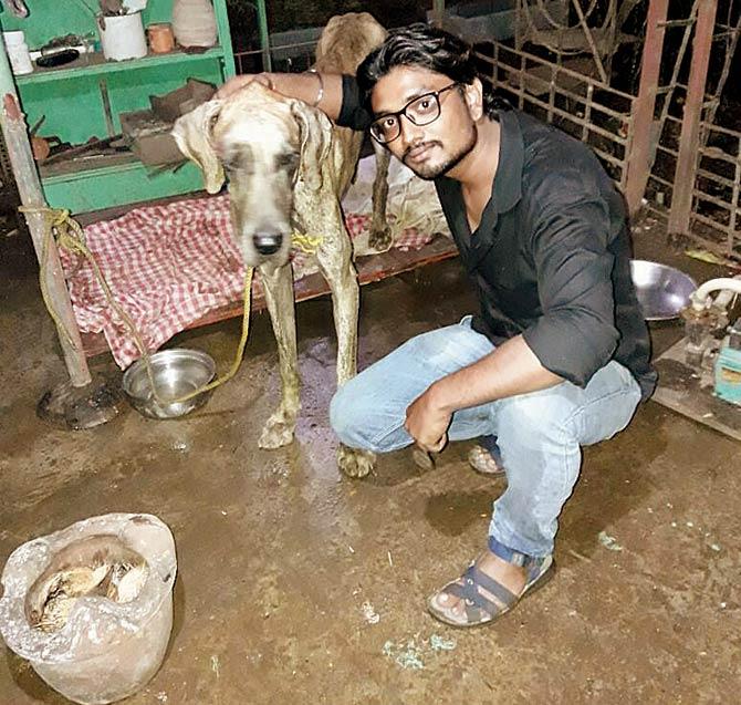 Snake rescuer Sagar Barot who found the injured dog