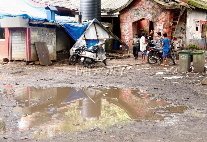 Stagnant water mixes with rotting waste below a bridge near Oberoi Mall in Goregaon East. Pics/Nimesh Dave