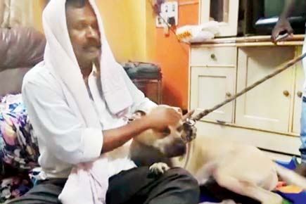 Thane cop saved by his brave pet dog in brawl