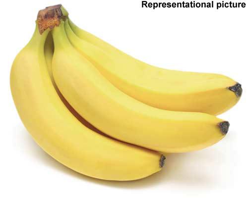 Banana phobia