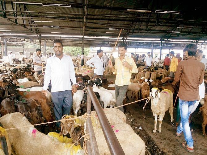 Meat sellers in UP to go on indefinite strike from March 27
