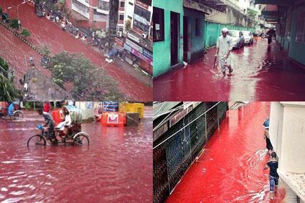 Sickening! Streets of Dhaka turn into 'rivers of blood' during Bakri Eid