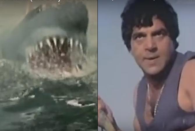 Wacky Wednesday! This video of Dharmendra fighting with a shark is hilarious