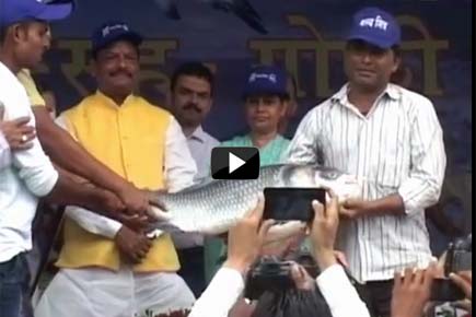 Watch Video: 20,000 fishermen take part in fish festival in Ranchi 