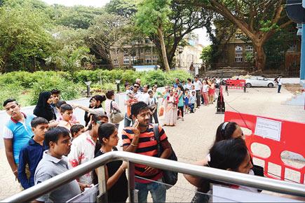 Mumbai: Penguin viewing continues for free at Byculla Zoo