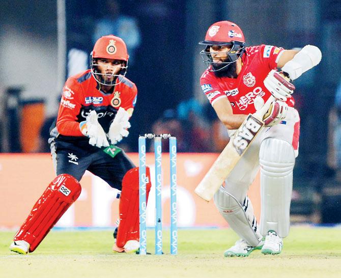 Hashim Amla glides one against RCB in Indore yesterday. Pic/AFP