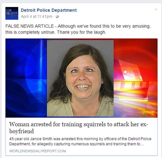 Woman trains squirrels to attack