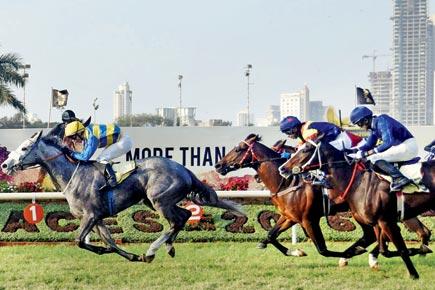 Horse racing: Shamwari is best bet for today