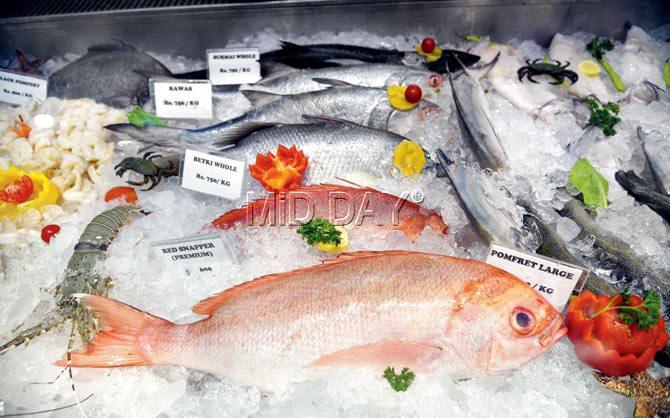 Fresh catch on display at the store