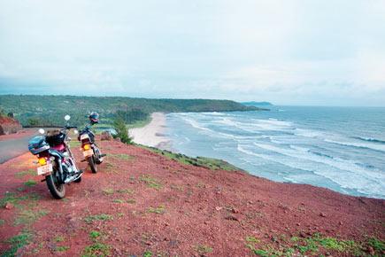 10,509 trees face axe on 84 km stretch on Mumbai-Goa highway