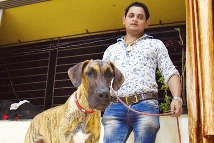 Mumbai restaurateur sniffs out his dog's kidnapper